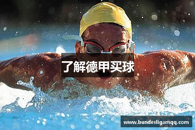 了解德甲买球